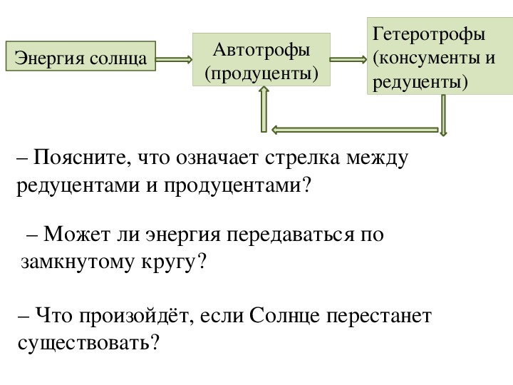 Что такое автотрофы. Продуценты консументы и редуценты это. Автотрофы гетеротрофы консументы продуценты. Гетеротрофы автотрофы продуценты. Автотрофы гетеротрофы продуценты консументы редуценты.