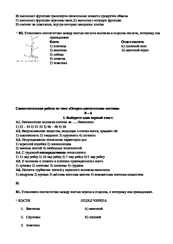 Исследовательская работа по биологии 8 класс готовые проекты