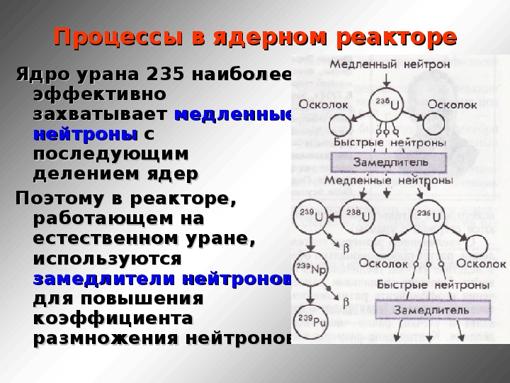 Процессы в ядерном реакторе схема