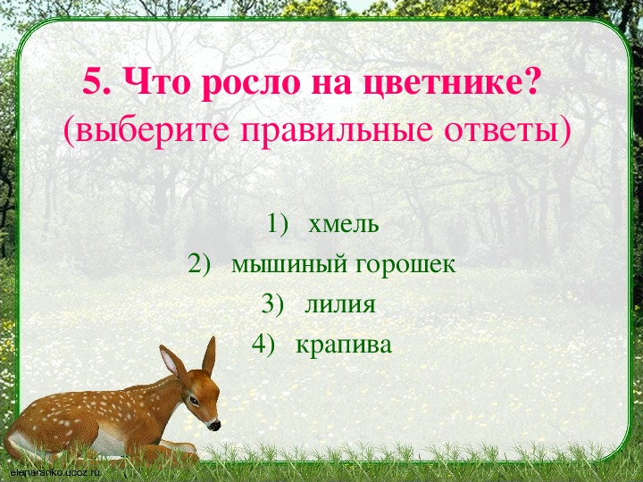 Проверочная работа по разделу литературные сказки