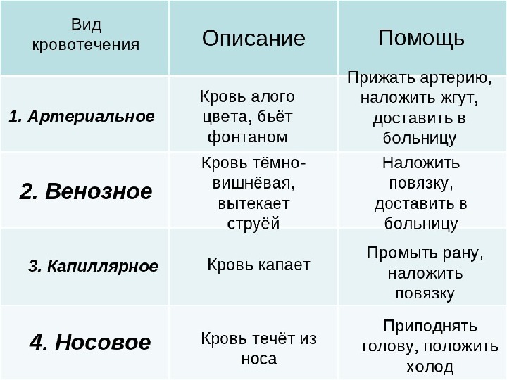 Первая помощь презентация биология 8 класс