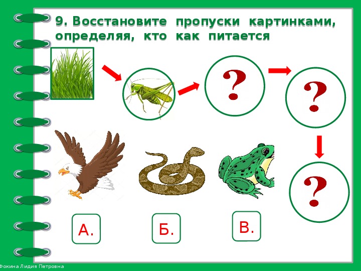 Окружающий мир 2 класс нити