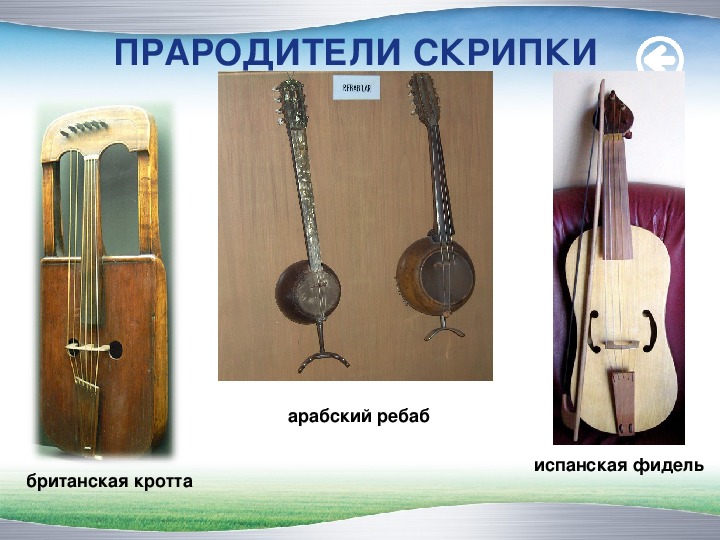 Предок скрипки 5 букв. Струнно смычковый инструмент предшественник скрипки. Виола струнные смычковые музыкальные инструменты. Предок скрипки.
