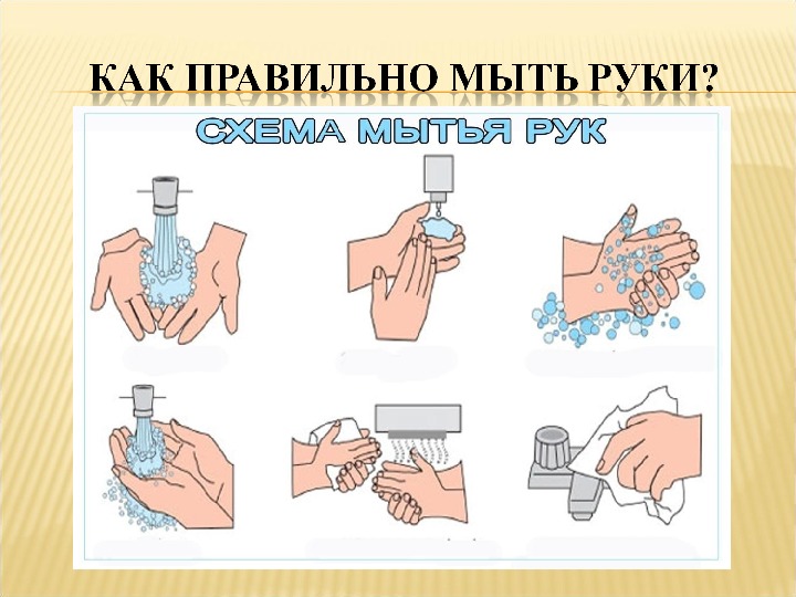 Почему нужно мыть руки презентация 1 класс окружающий мир плешаков