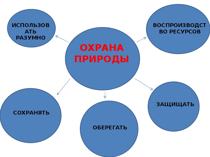 Презентация к уроку обществознания 7 класс закон на страже природы