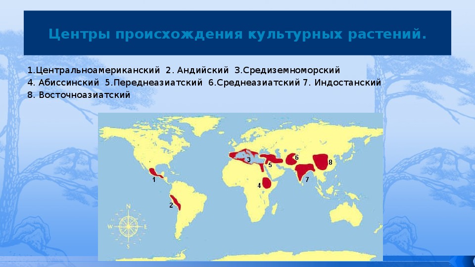 Центры происхождения культурных растений карта. Средиземноморский центр происхождения культурных растений на карте.