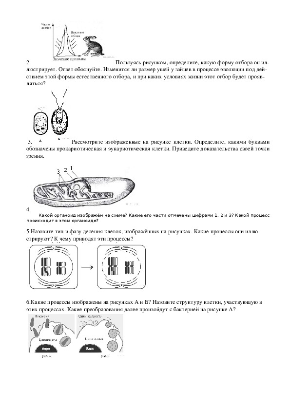 Егэ биология задания рыбы