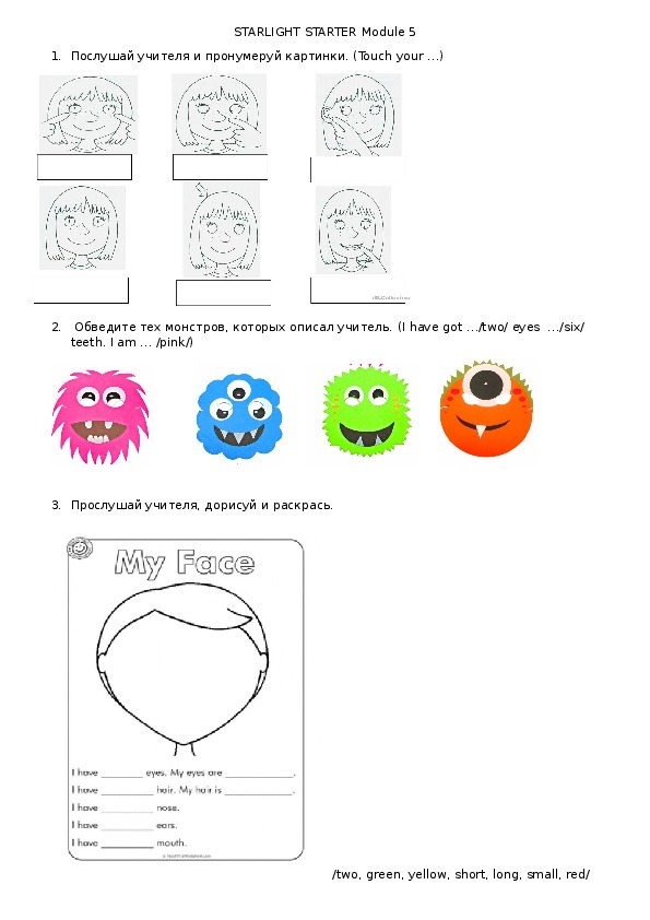 Starlight 5 module 5. Starlight Starter my senses. Стартер Старлайт тест. Задания по английскому Starlight Starter.