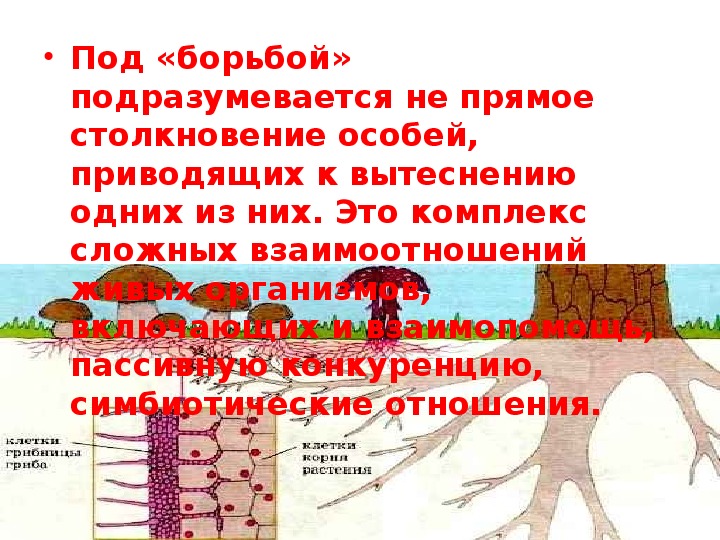 Борьба за существование тест 9 класс биология. Борьба за существование это в биологии.