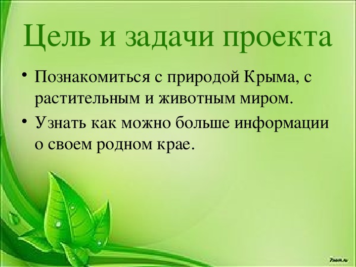 Проект окружающий мир разнообразие природы родного края