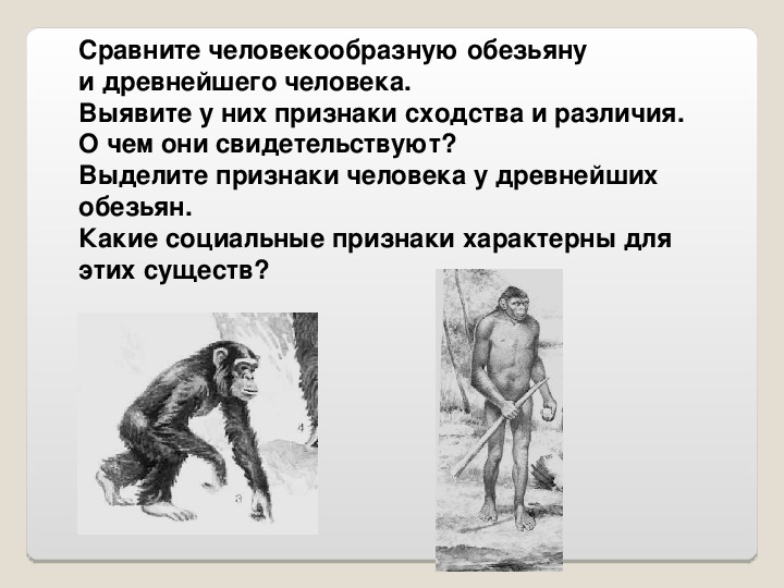 Сходства человека и обезьяны таблица. Сходство человека и обезьяны. Сходство человека и древнего человека. Сходства и различия древнего и современного человека.