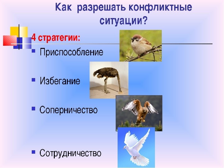 Проект по обществознанию правила поведения в конфликтной ситуации