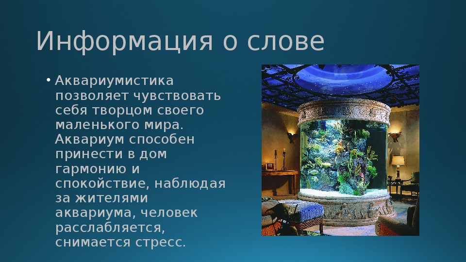 Океанариум текст автостопом. Сообщение про аквариум. Человек в аквариуме. Слово аквариум. Текст про аквариум.