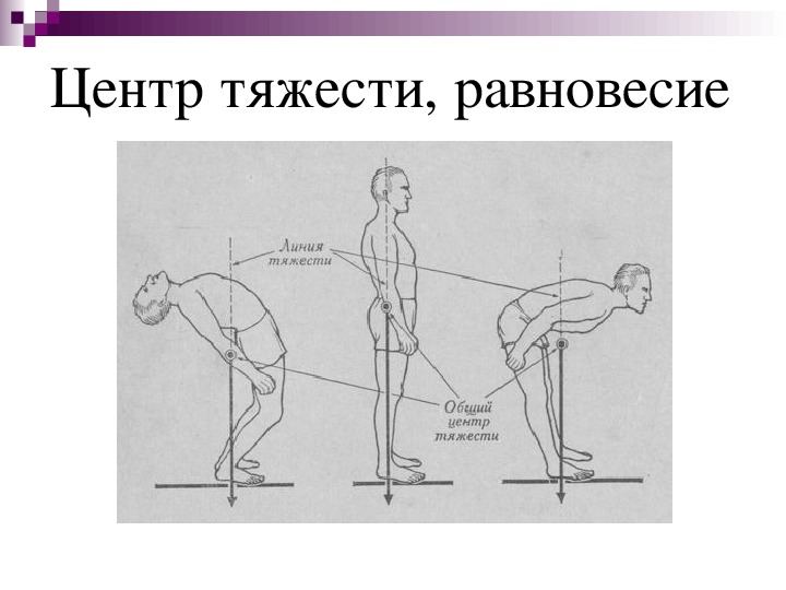 Равновесие центр тяжести. Общий центр тяжести человека. Низкий центр тяжести у человека. Общий центр тяжести анатомия. Центр тяжести сидящего человека.