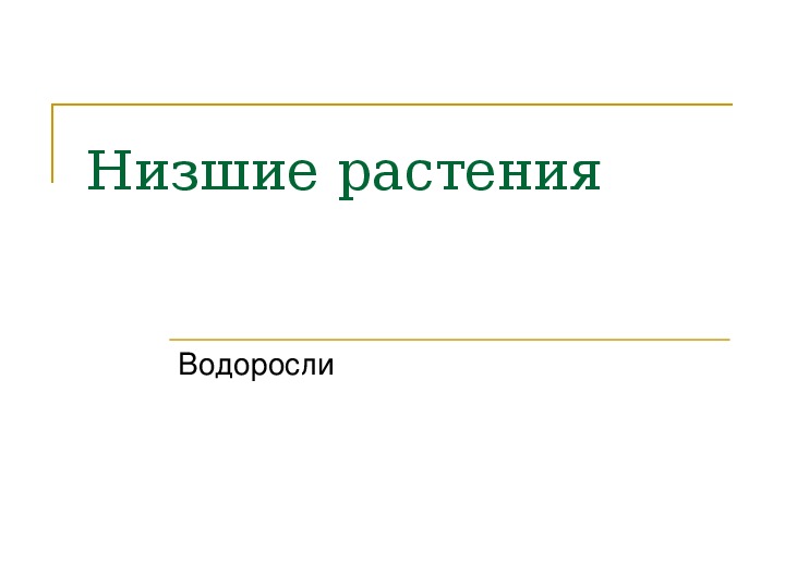 Презентация Водоросли