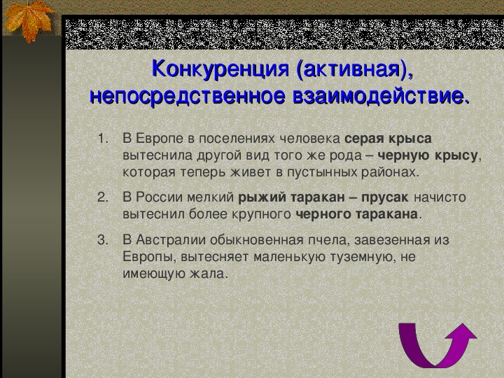 Тип взаимодействия конкуренция. Непосредственное взаимодействие это. Конкуренция непосредственное взаимодействие. Конкуренция примеры взаимоотношений. Конкуренция непосредственное взаимодействие примеры.