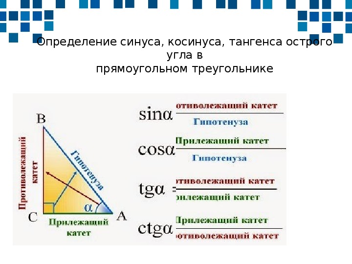 Синус косинус тангенс формулы 8 класс. Синус косинус тангенс определение 8 класс геометрия. Синус косинус тангенс определение 8 класс. Геометрия 8 класс синуса косинуса теория. Геометрия прямоугольный треугольник синусы косинусы тангенсы.