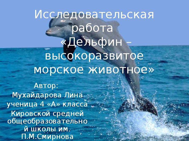 Исследовательский проект на тему: "Дельфин-высокоразвитое морское животное" 4 класс