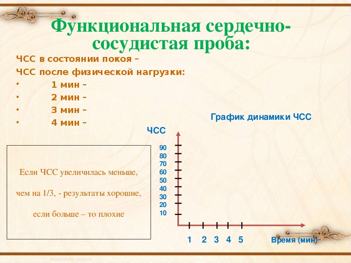 Функционально сердечно сосудистая проба практическая