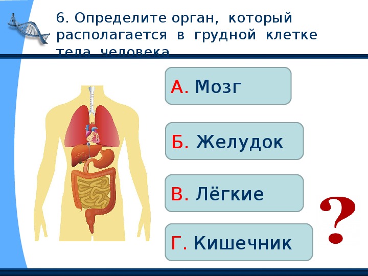 2 класс презентация строение тела человека 2 класс школа россии