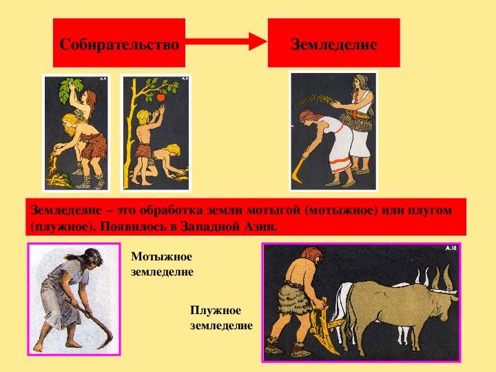 Презентация возникновение земледелия и скотоводства 5 класс