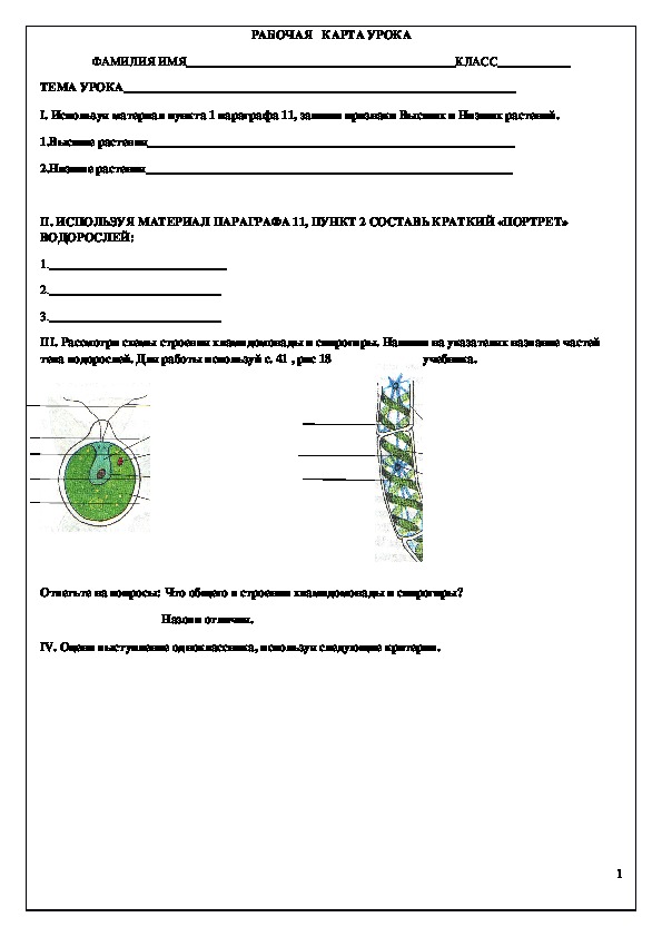 Обложка для материала Знаешь ли ты родной лес
