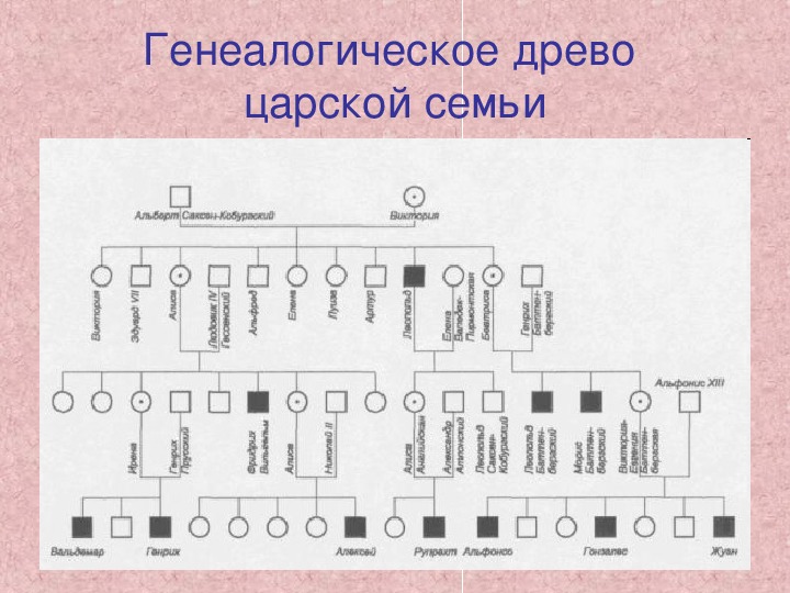 Правила графического изображения родословной клинико генеалогического метода