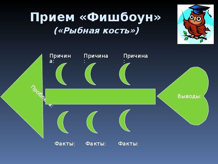 Фишбоун по истории