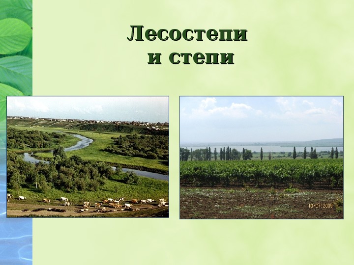 Природные зоны России: территориальные различия