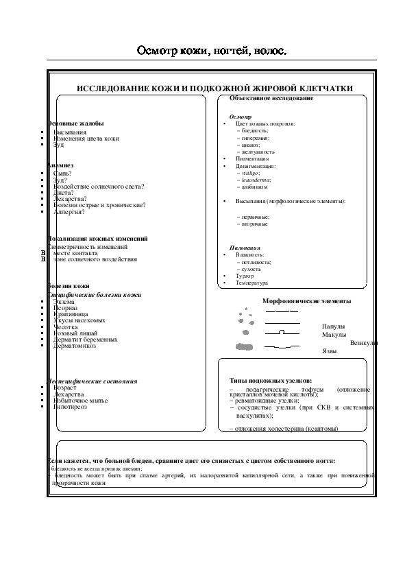 Осмотр кожи, ногтей, волос.