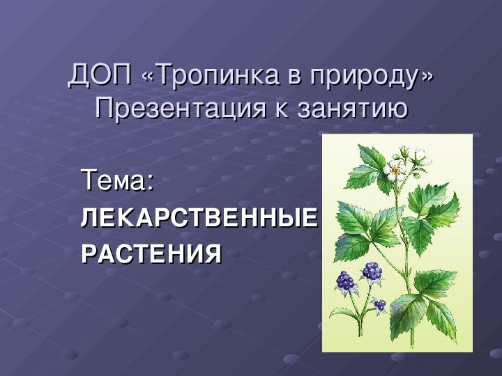 Презентация medicinal plants