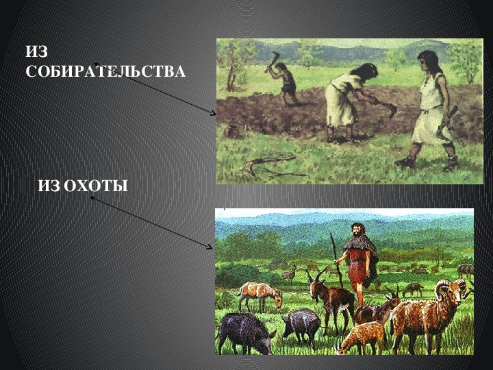 Методическая разработка урока "Почему люди начали  заниматься земледелием и скотоводством"