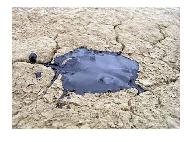 Сосна утонет в нефти. Нефтяная лужа. Нефть в земле. Нефтяное пятно на поверхности почвы. Нефть на поверхности.
