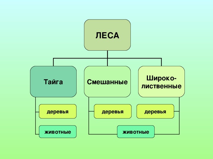 Леса россии 4 класс школа россии презентация окружающий мир плешаков