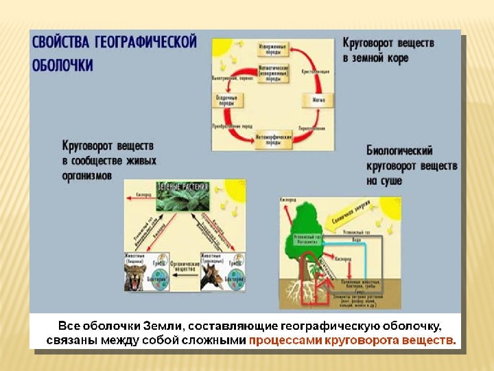 Географическая оболочка 6 класс география презентация