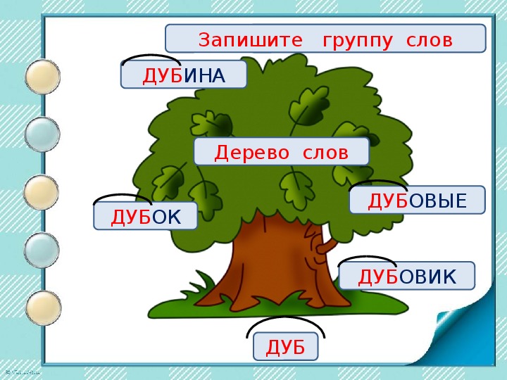 Рисунок корень слова