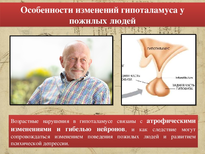 Возрастные изменения нервной системы у пожилых людей презентация