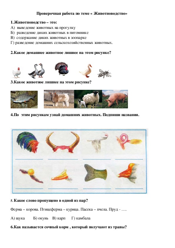 Тест окружающему миру 3 класс плешаков животноводство