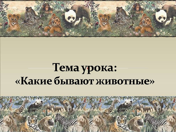 Тема какие бывают животные. Какие бывают животные 2 класс. Урок окружающего мира 2 класс какие бывают животные. Какие бывают животные 2 класс презентация. Урок по теме какие бывают животные 2 класс.