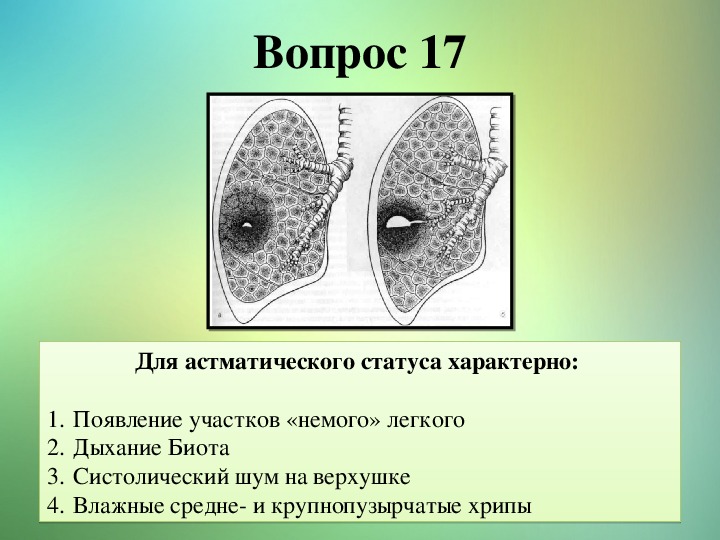 Картина немого легкого