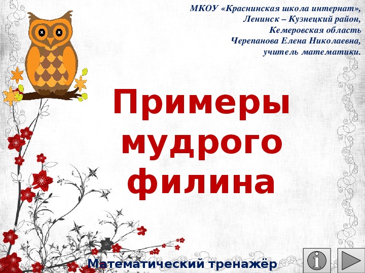 Обложка для материала Презентация по математике "Примеры мудрого филина.  Математический тренажёр"