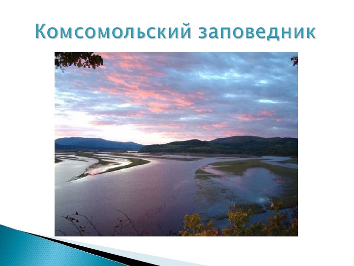 Презентация "Комсомольский заповедник " (7 класс, экология)