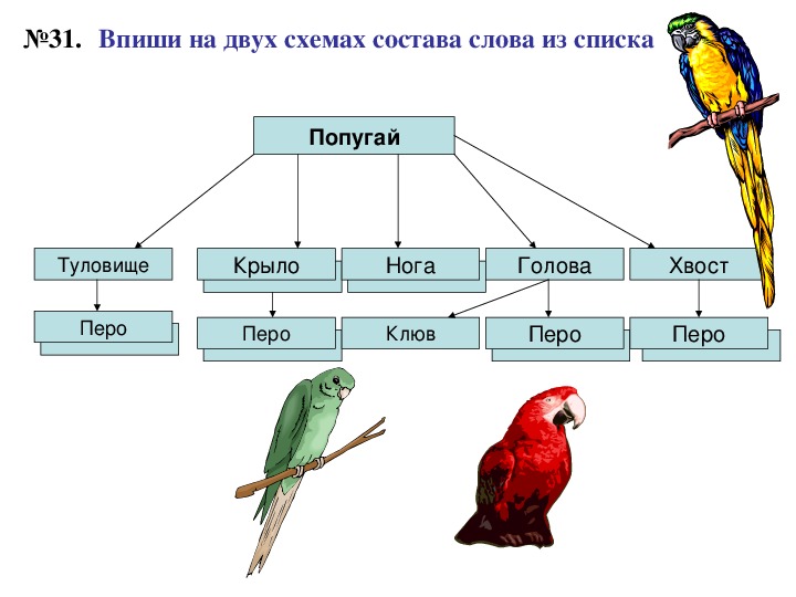 Составь предложение со словами крылья хвост начерти графическую схему