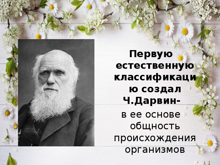 Естественная классификация. Дарвин систематика. Классификация живых организмов ч. Дарвин. Классификация по Дарвину. Создал первую естественную классификацию.