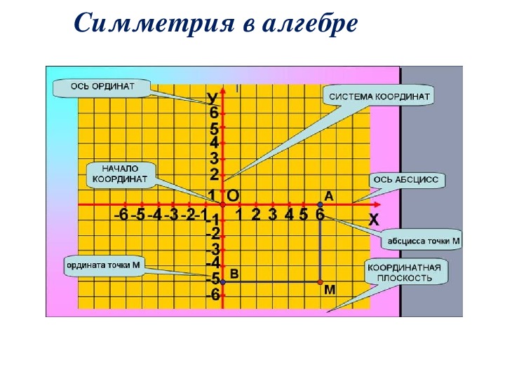 Проекты по алгебре