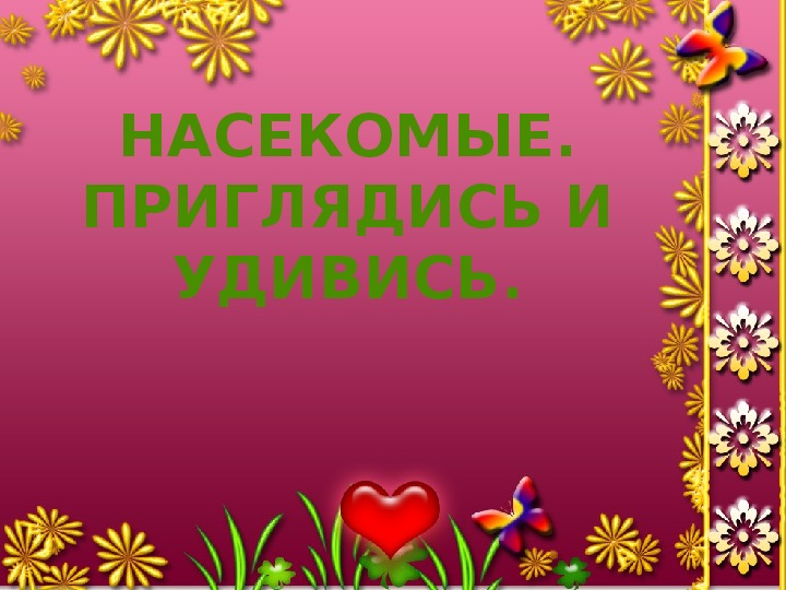 Обложка для материала Насекомые. Приглядись и удивись