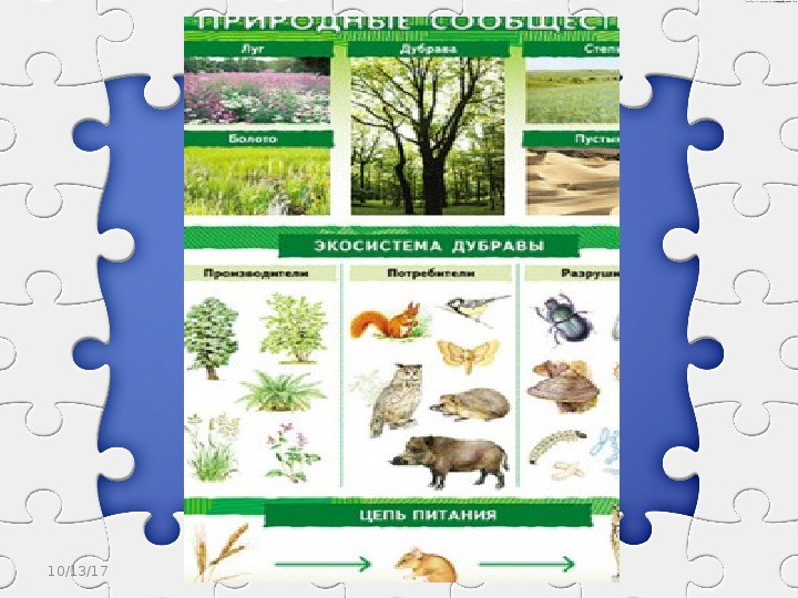 Разнообразие природных сообществ 5 класс биология пасечник