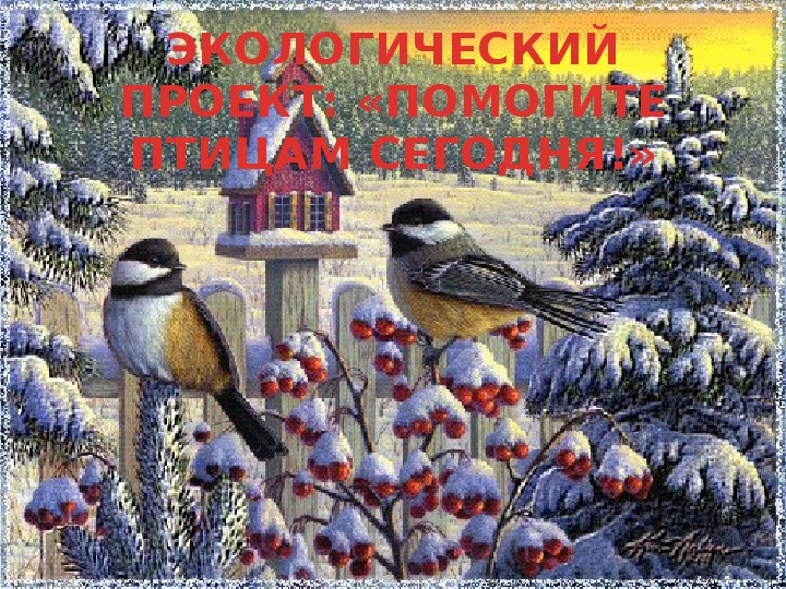 Обложка для материала Презентация экологического проект "Позаботьтесь о птицах сегодня"