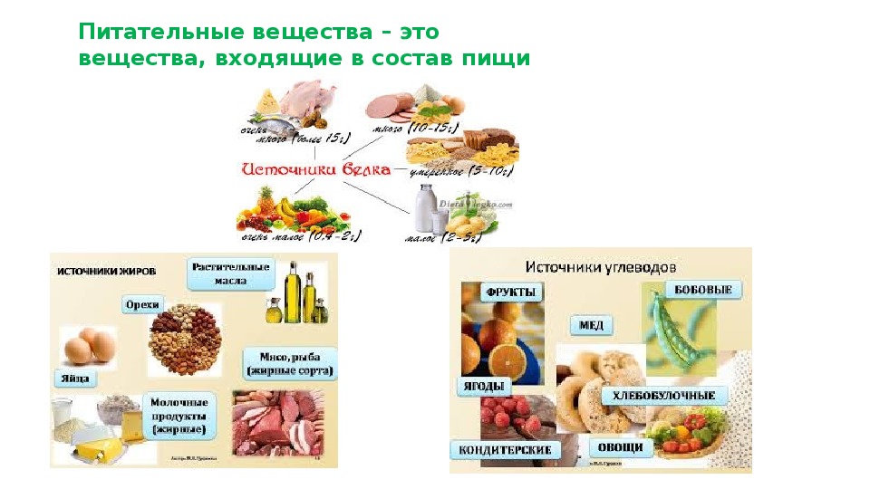 Виды питательных веществ