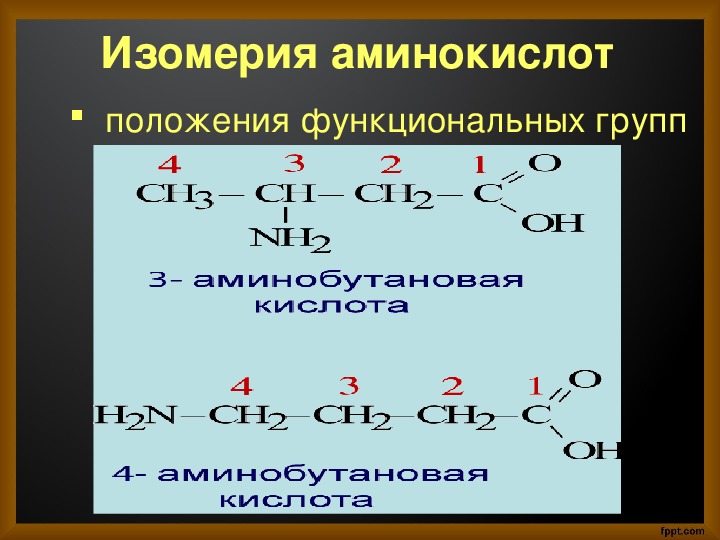 Тест аминокислоты 10 класс химия. Изомерия положения функциональной группы. Изомерия по положению функциональной группы. Изомерия положения функциональной группы аминокислот. Структурная изомерия аминокислот.